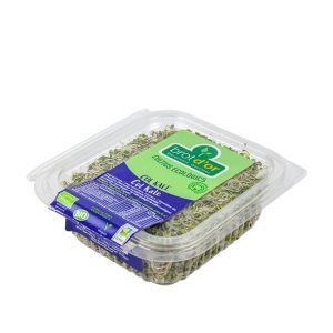 Germinado Col Kale BIO, 70g